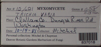 Image Associated With the Occurence